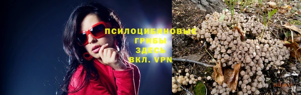 винт Абаза