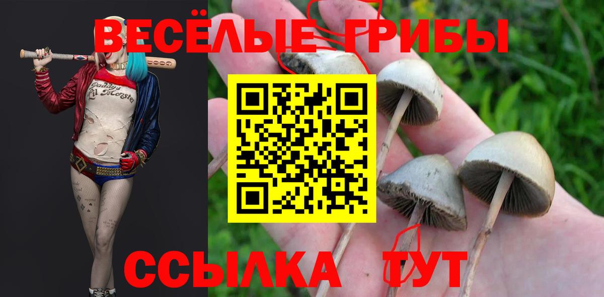 Азов  Псилоцибиновые грибы ЛСД  Вход с VPN  Галлюциногенные грибы Cubensis 