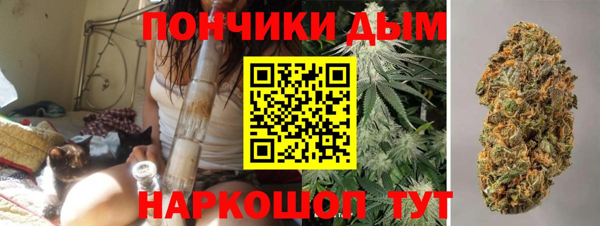 Азов  Каннабис ГИДРОПОН  Канабис планчик  Конопля LSD WEED  Вход с VPN 